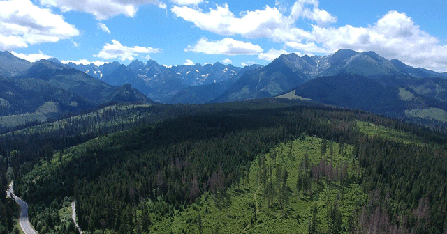 Hohe Tatra vom Balzer Weg