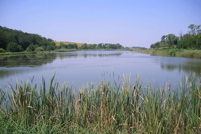 Kamenny Most Bach Pariz